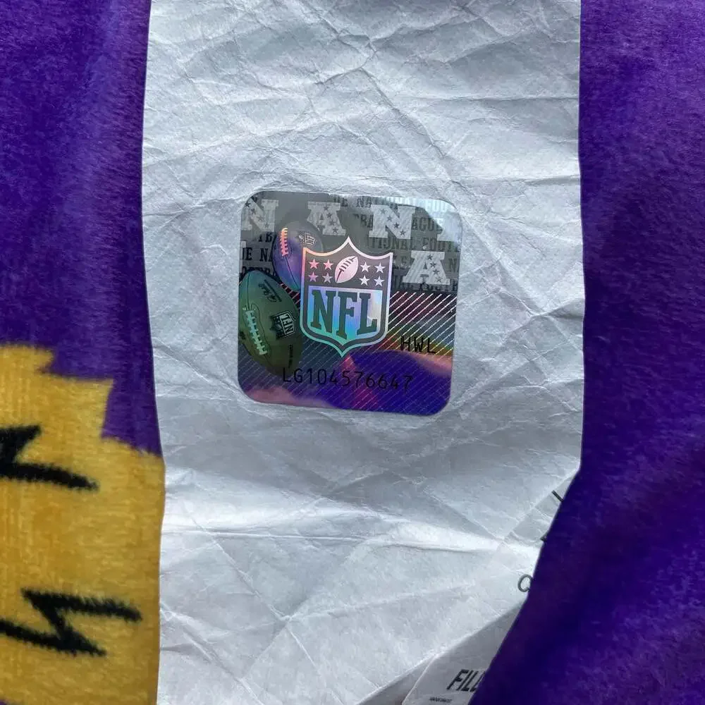 Pegasus Minnesota Vikings 15 inch Plushie Mascot Pillow